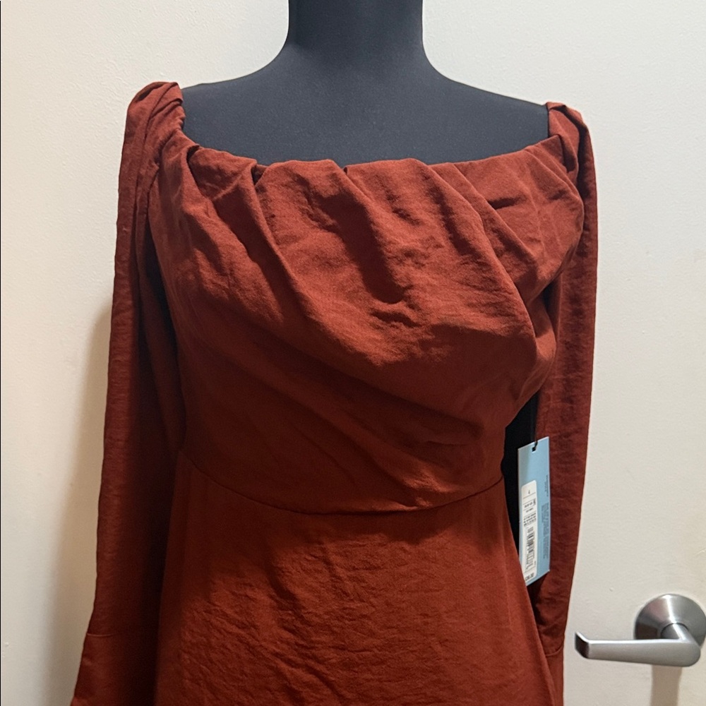 Chic Long Sleeve Rust Dress